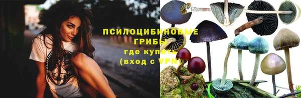 гашик Алексин
