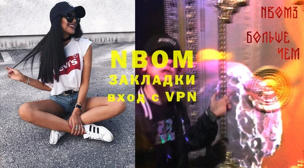 гашик Алексин