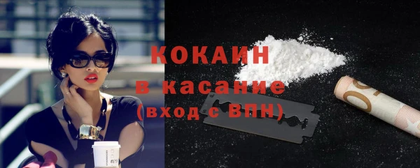 гашик Алексин