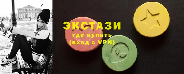 гашик Алексин