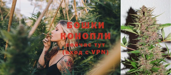 PSILOCYBIN Алзамай