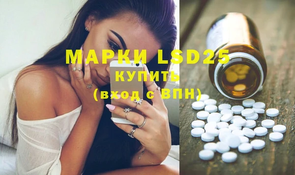 PSILOCYBIN Алзамай